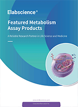 Featured Metabolism Assay Products Brochure(2025)